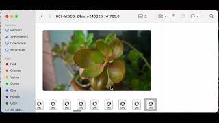 MCRAW mounter FUSE demo (for MotionCam Android App)