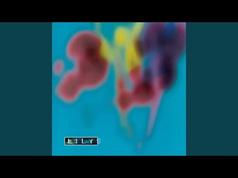 Lilys — Your Guest and Host