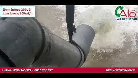 BƠM NƯỚC LUPPE 200 VÀ BƠM TRÊN 168 CHO LƯU LƯỢNG NƯỚC QUÁ MẠNH | WATERS PUMP