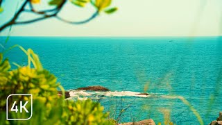 Ocean Waves Crashing on the Rocks | Beach Sounds For Relaxing