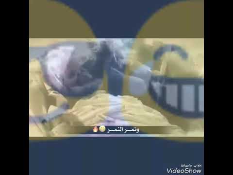 شيلة سود الجموس