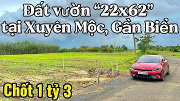 #565 Mảnh đất vườn “1.300m2” quá rẻ tại xã Xuyên Mộc, TP.HCM | Hiện tại chủ đang rất cần tiền ! 