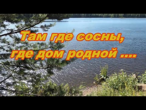 Там где сосны, где дом родной.....