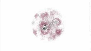 The big bang of my Facebook network