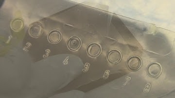 Standard Operating Procedures (SOP): Phastsystem for IEF-PAGE