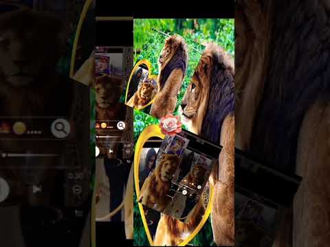 يا حظ لية ليل المحمدى 2024 اكسبلور جديد تصميمي