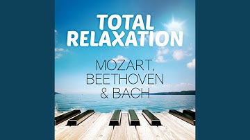 Concerto for Violin, Strings & Continuo in A Minor, TWV 51a2: II. Andante