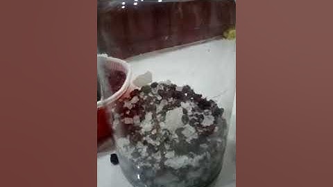 Cách làm rượu sim tại nhà