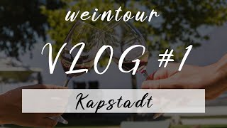 Die besten Weingüter in Kapstadt! 🍇🍷 | Wein Tour mit GetYourGuide | VLOG #1