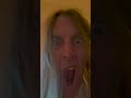 The Dandy Warhols - "Tweety Bird Feed" - Fast Friday