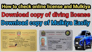 How to get dubai Driving license Copy from online || how get car Mulkiya copy online screenshot 5