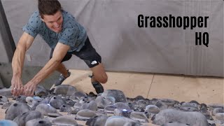 Grasshopper HQ