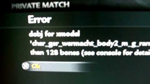 Call of Duty: World At War Wierd Error