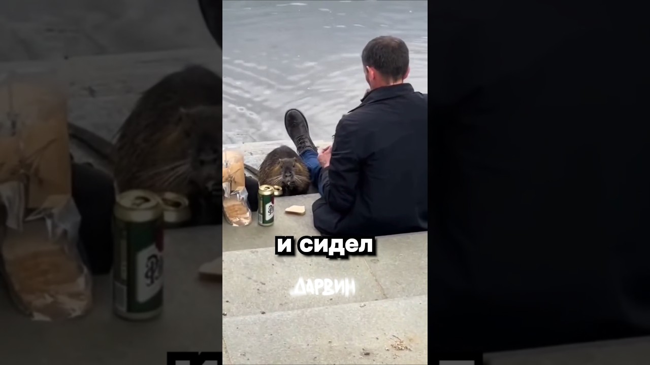 Моя жизнь мечты