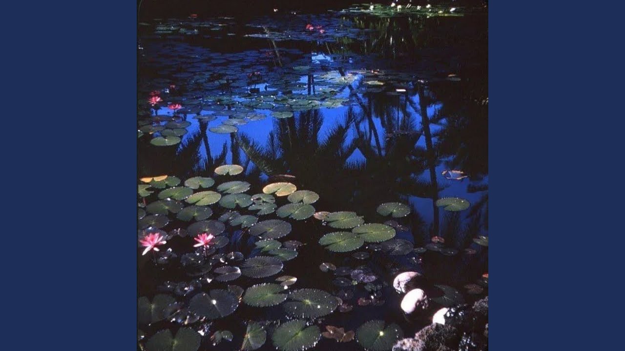 Watch Nightbloom on YouTube Watch Nightbloom on YouTube
