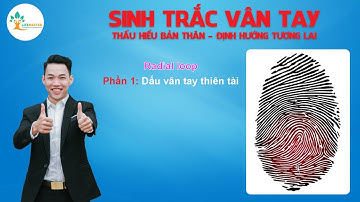 Dấu Vân Tay Thiên Tài - RADIAL LOOP (Phần 1)