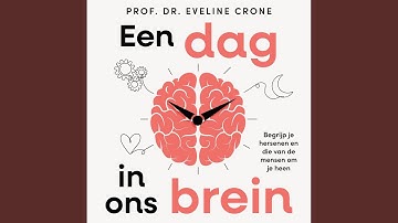 Hoofdstuk 158 - Een dag in ons brein