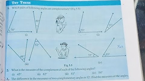 Class 7 Chapter 5 Lines And Angles Try These Page 95 And 96
