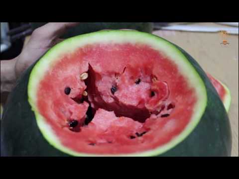 فيديو: الفراغات البطيخ
