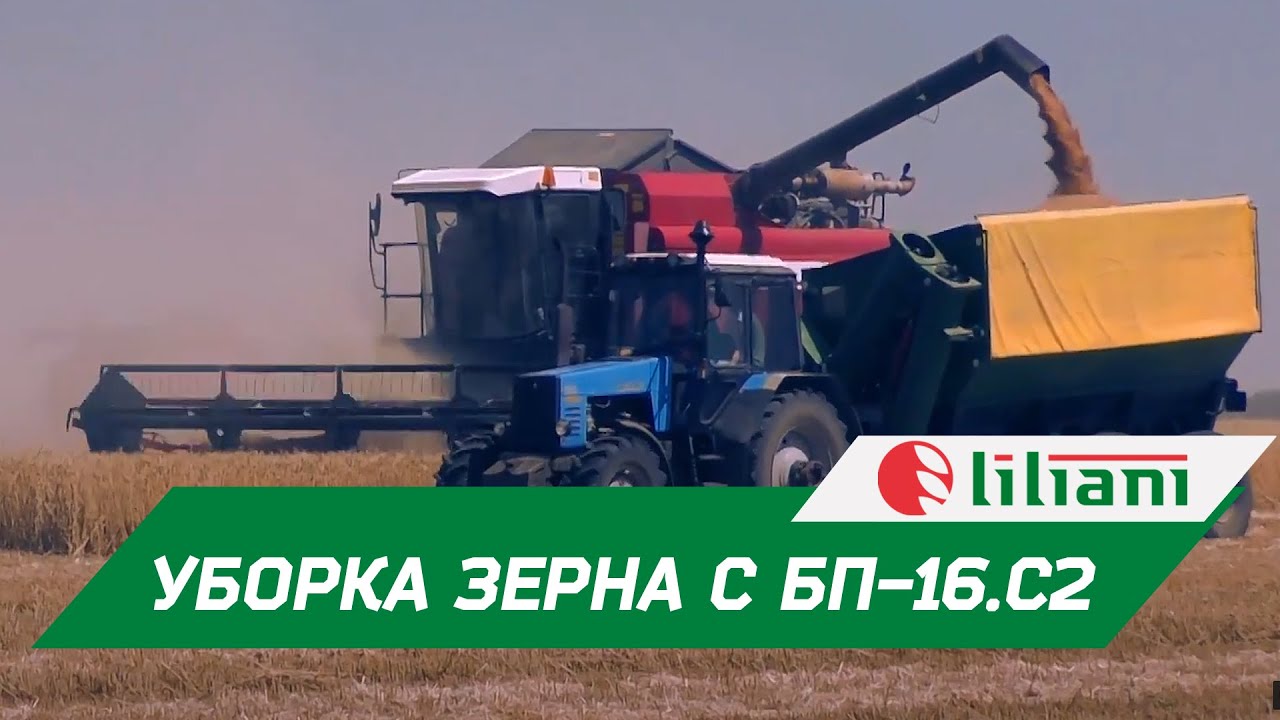 Донская нива семена