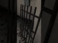 #granny#grannygame#grannychapter4#grannychapter3#grannychapter2#grannychapter1#grannyhorror#grannyga
