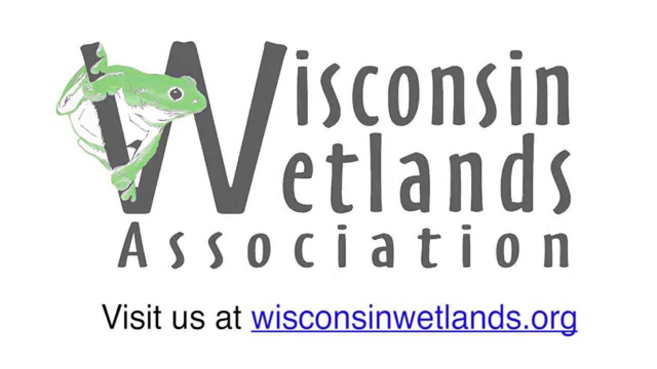 Thank You for Sharing Big