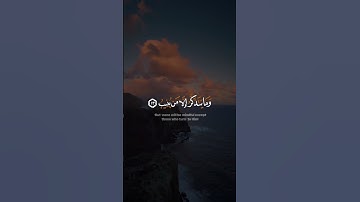 تلاوة عطرة للقارئ يحيى صلاقي