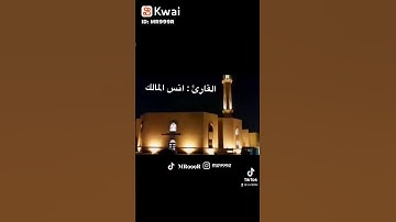القارئ انس المالك