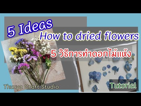 วีดีโอ: 5 วิธีในการทำดอกไม้แห้ง