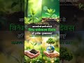 world environment day