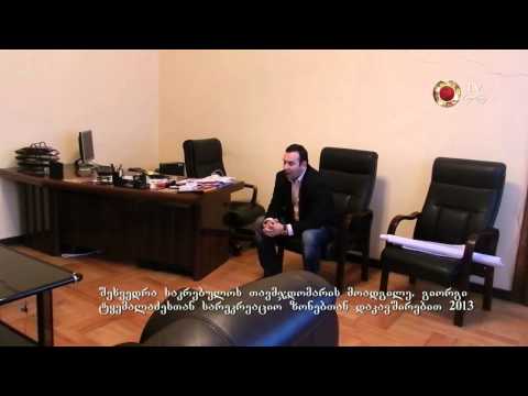 2 8 შეხვედრები ტყემალაძესთან