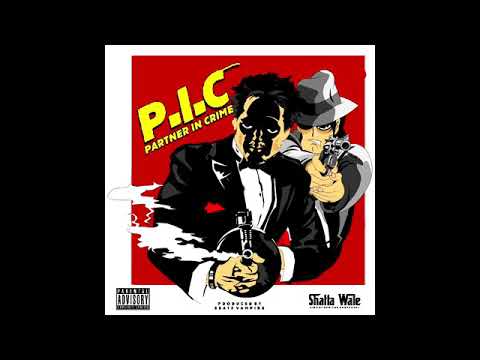 Shatta Wale - P.I.C. [Partner In Crime] (Audio Slide)