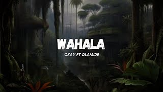 Ckay ft. Olamide - Wahala [Lyric Video]