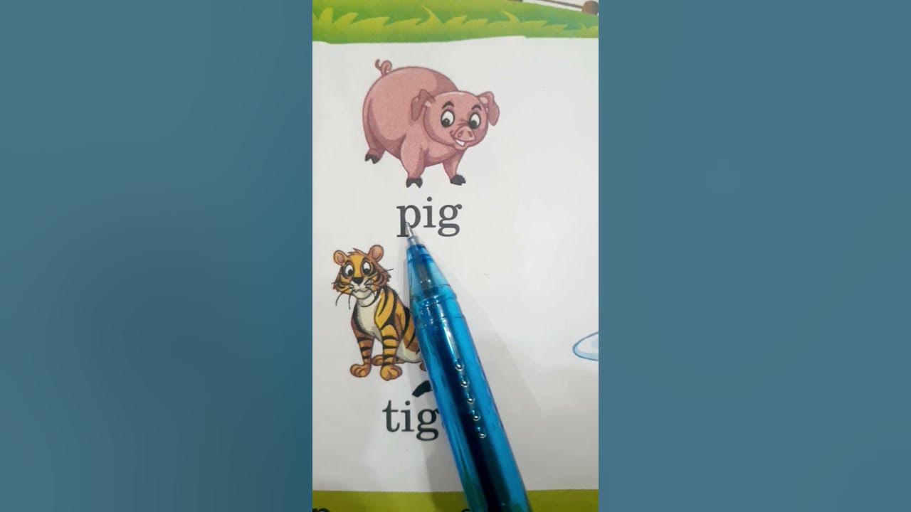👩‍🏫'i' sound words//'i' sound wale 3 & 4 letters words. Phonic of i