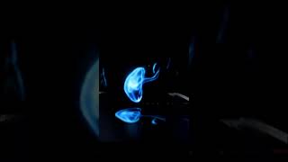 reflection without the pop bottle cover for hologram