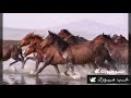 أخذني معك غناء فضل شاكر ويارا
