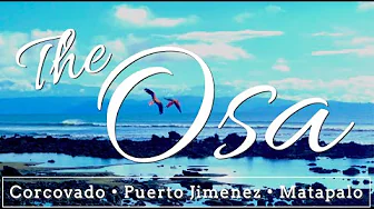 The Osa!!! I Puerto Jimenez I Matapalo I Playa Colorado I Corcovado I Costa Rica I