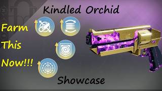 A Void Sunshot!!! Kindled Orchid God Roll Showcase
