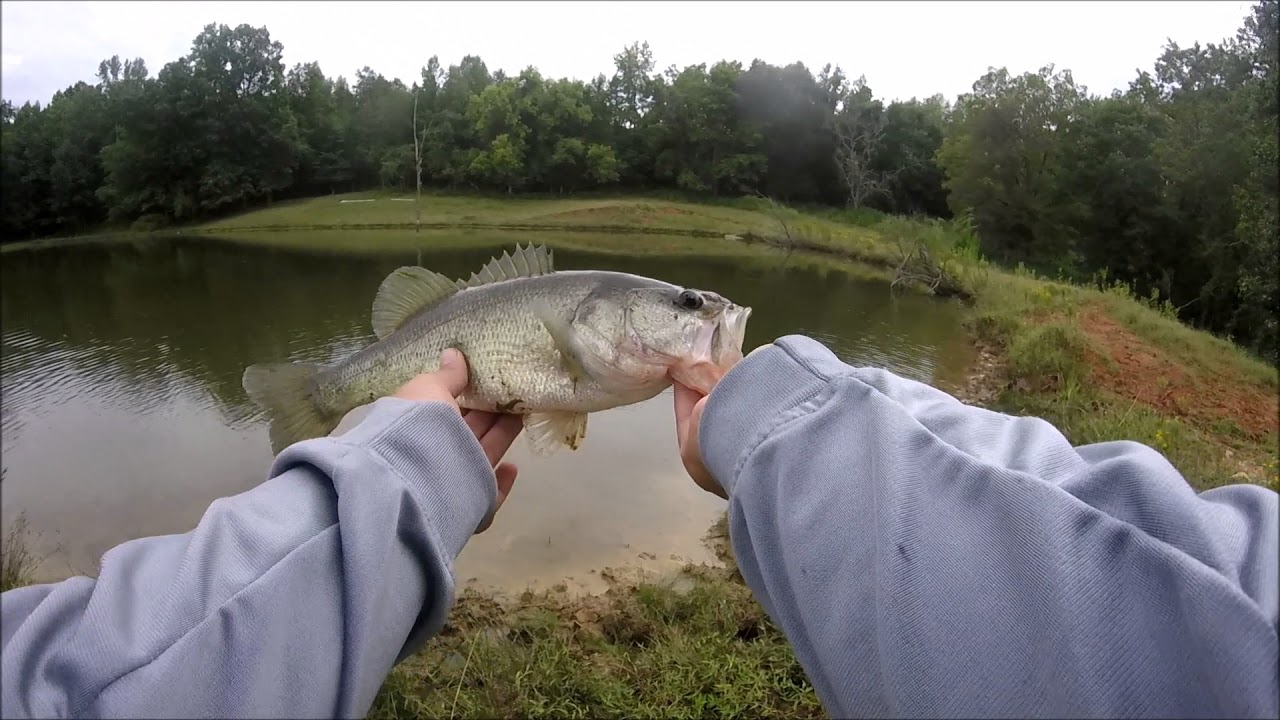 bass fishing YouTube