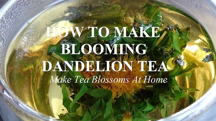 How to Make Blooming Tea Balls at Home 🌸  Teabloom - DayDayNews
