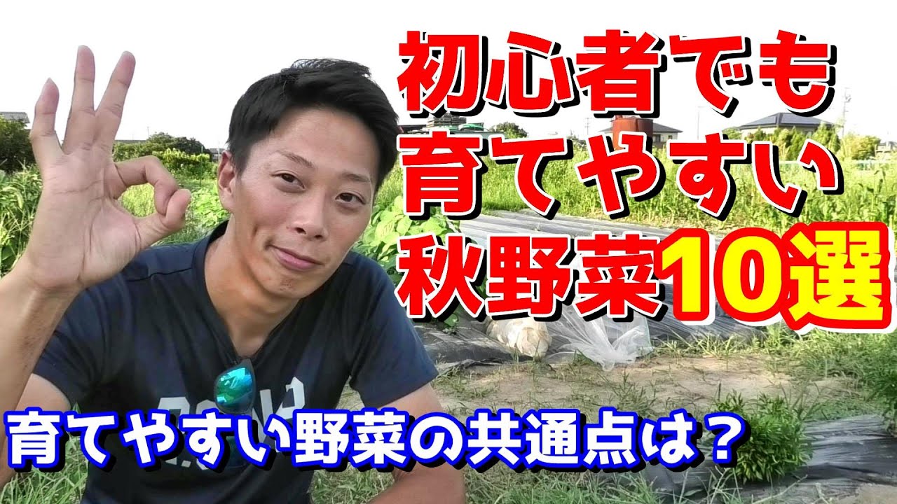 初心者でも育てやすい秋野菜10選 迷ったらこれ 育てやすい野菜の条件は Youtube