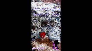 سبحان الذي خلق السموات والارض