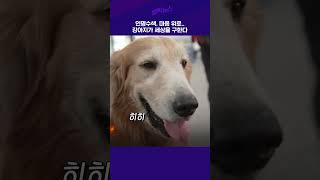 인명수색, 마음 위로.. 강아지가 세상을 구한다