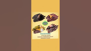 COCOA BEANS DM 9633828929