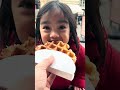 Quick Belgian waffle break on our walk. #exploreeurope #travel #food #antwerp #belgium