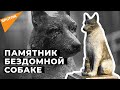 Как пес Жорик стал символом всех бездомных животных в Эстонии