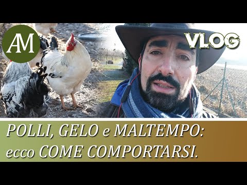 Video: Svalutazione del rublo bielorusso nel 2015. Qual è la svalutazione del rublo bielorusso e in che modo minaccia la popolazione?