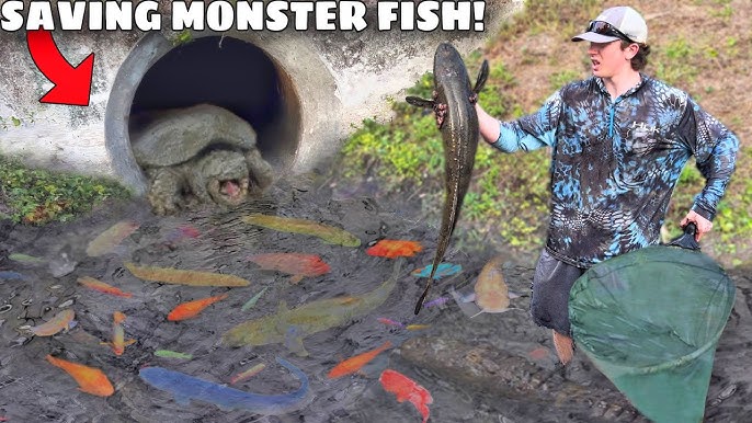 I Caught RARE Fish in a Primitive Fish Trap! 