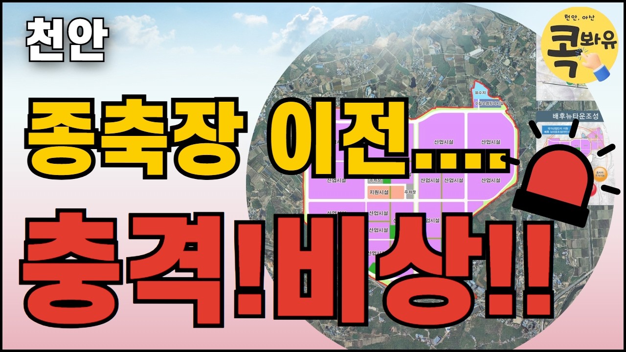 천안 충격!! 비상!! 종축장 이전....| 콕봐유