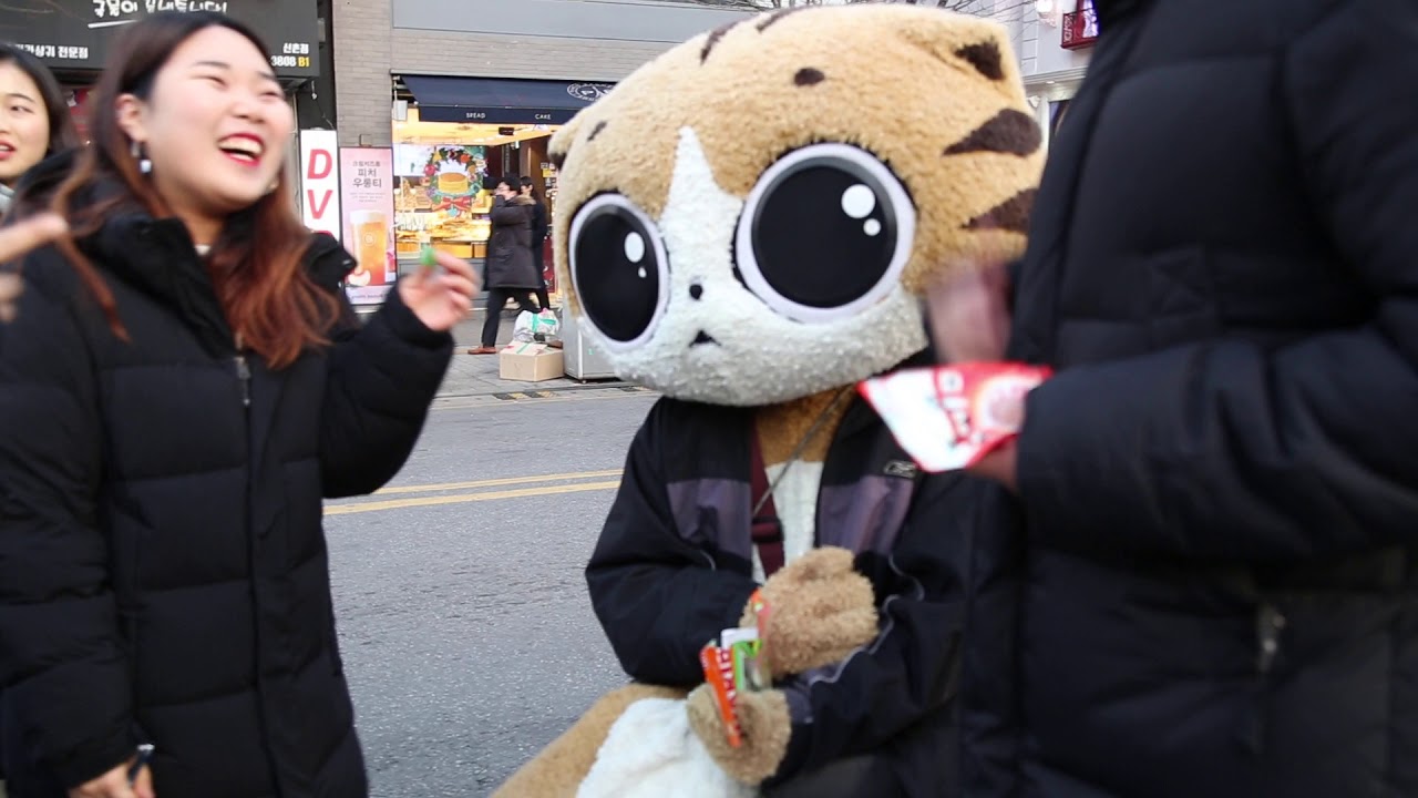 JHKTV] 신촌명물고양이귀여워 귀여워  shinchon special cat  Cute cute